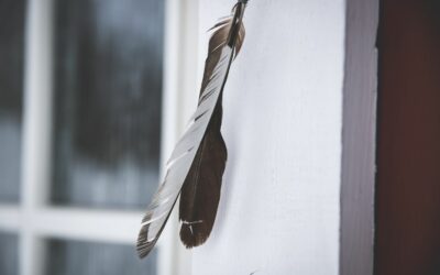 Zug zu den Polarlichtern