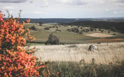 Wandern im Geopark Ries