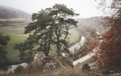 Mit dem Zug ins Altmühltal
