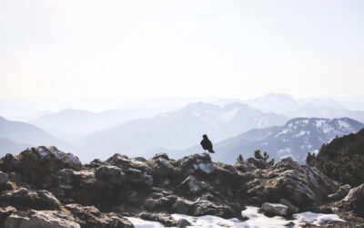 Winterwandern am Tegernsee