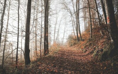 Wandern im Oberen Donautal